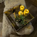 Neues Meerzeit Aan Zee Nr 76 Am Weltnaturerbe Wattenmeer Mit Eingezaeunten Garten Grosse Terrasse Ausstattung *
