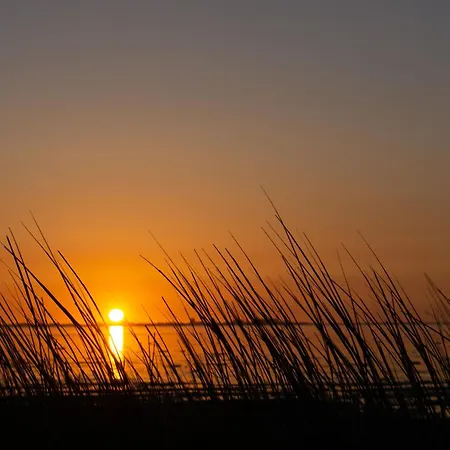 Apartment Neues Meerzeit Aan Zee Nr 76 Am Weltnaturerbe Wattenmeer Mit Eingezaeunten Garten Grosse Terrasse Ausstattung *