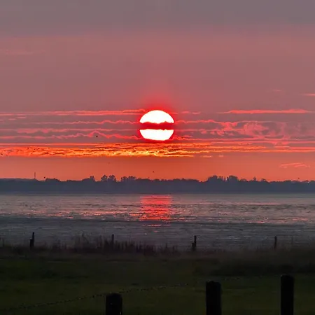 شقة Neues Chalet Nr 76 Am Weltkulturerbe Wattenmeer Tierfrei Mit Eingezaeunten Garten Grosse Terrasse Top Ausstattung Westerland