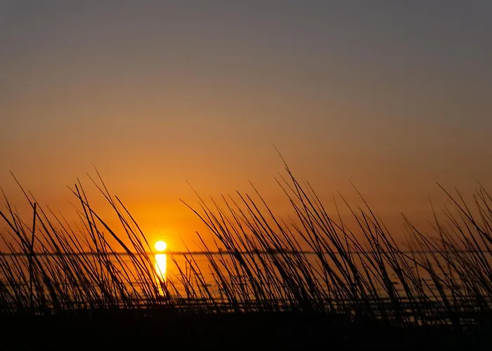 Appartamento 76 Meerzeit Aan Zee *